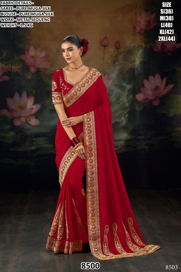 Premium Women’s Saree Collection