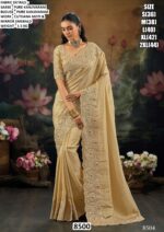 Premium Women’s Saree Collection