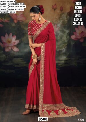 Premium Women’s Saree Collection