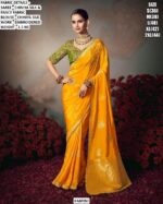 Chiniya Silk Saree for Women | Embroidered Party Wear Saree