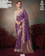 Chiniya Silk Saree for Women | Embroidered Party Wear Saree