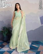 Embroidered Saree with Cutwork Border for Festive, Party Wear and Traditional Functions