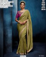 Beautiful Pure Fancy Tissue Saree With Sequence And Embroidery Handwork