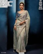 Beautiful Pure Fancy Tissue Saree With Sequence And Embroidery Handwork