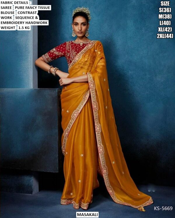 Beautiful Pure Fancy Tissue Saree With Sequence And Embroidery Handwork