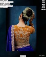 Beautiful Pure Fancy Tissue Saree With Sequence And Embroidery Handwork