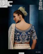 Beautiful Pure Fancy Tissue Saree With Sequence And Embroidery Handwork