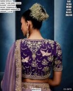 Beautiful Pure Fancy Tissue Saree With Sequence And Embroidery Handwork