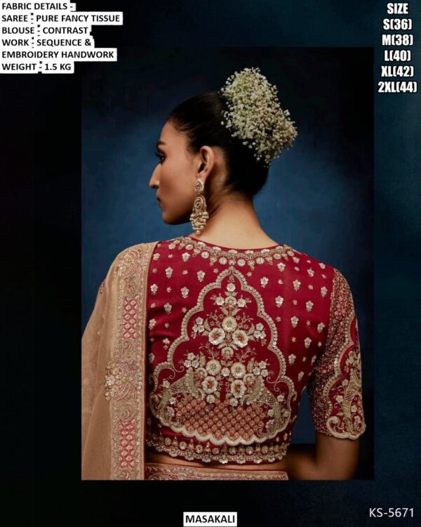 Beautiful Pure Fancy Tissue Saree With Sequence And Embroidery Handwork