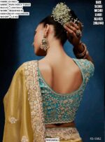 Beautiful Pure Fancy Tissue Saree With Sequence And Embroidery Handwork