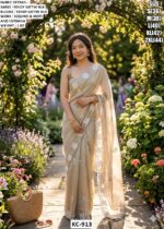 Stylish Designer Saree With Sequins And Moti Detailing