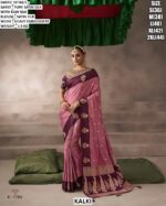 Women’s Festive Wear Saree With Embroidered Blouse