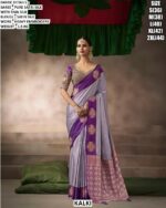 Women’s Festive Wear Saree With Embroidered Blouse