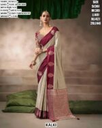 Women’s Festive Wear Saree With Embroidered Blouse