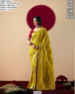 Women’s Viscous Dola Silk Saree With Brocade Blouse