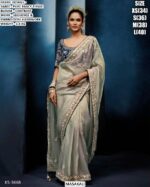 Pure Fancy Tissue Saree For Women