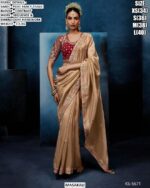 Pure Fancy Tissue Saree For Women