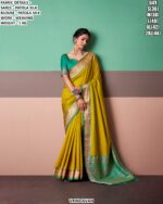 Exclusive Patola Silk Saree For Special Occasions