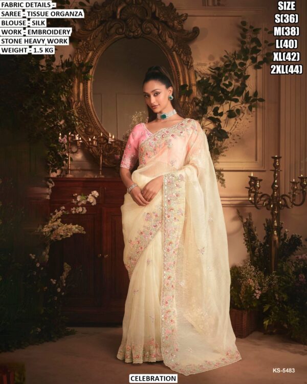 Designer Tissue Organza Saree With Silk Blouse