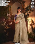 Designer Tissue Organza Saree With Silk Blouse