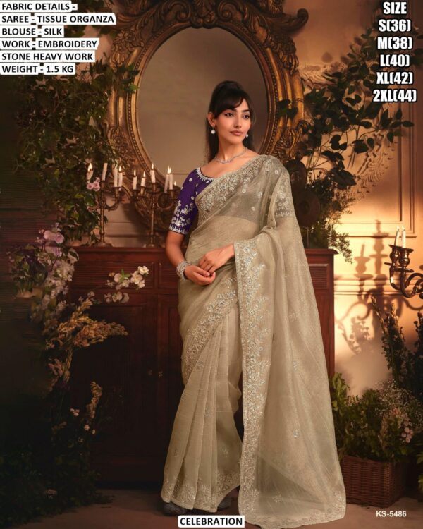 Designer Tissue Organza Saree With Silk Blouse