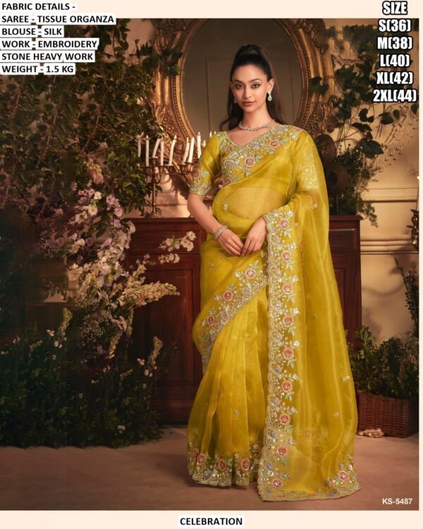 Designer Tissue Organza Saree With Silk Blouse