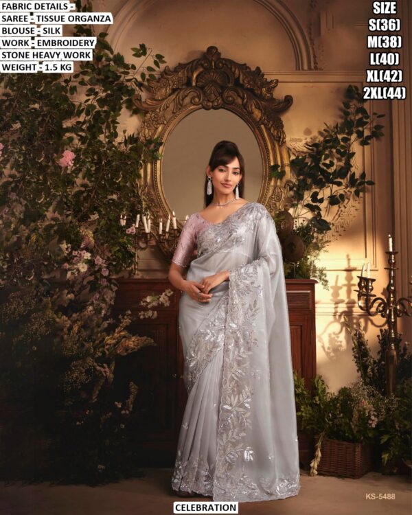 Designer Tissue Organza Saree With Silk Blouse