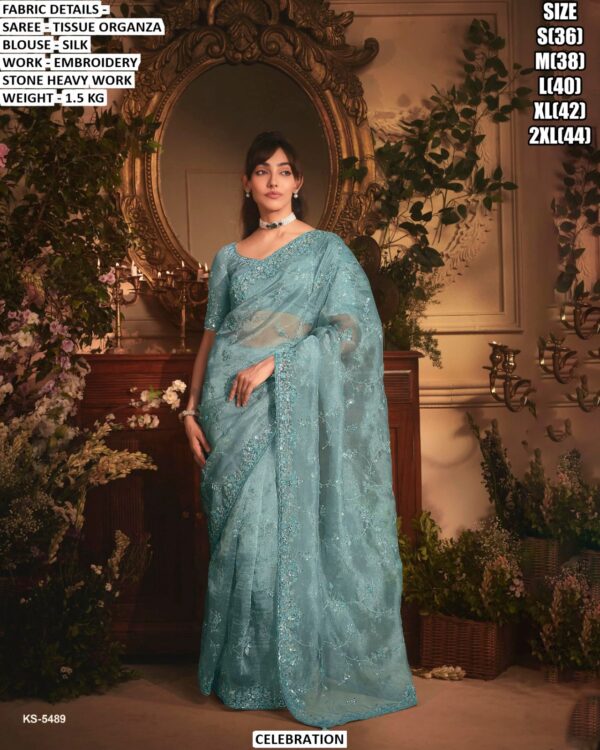 Designer Tissue Organza Saree With Silk Blouse