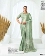 Elegant Mono Net Saree With Designer Embellishment