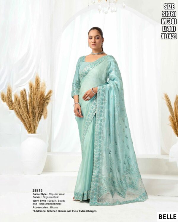 Elegant Mono Net Saree With Designer Embellishment