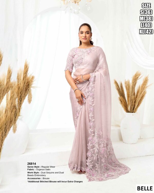 Elegant Mono Net Saree With Designer Embellishment