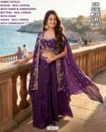 Premium Real Chinon And Real Georgette Indo Western Collection For Women