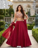 Beautiful Embroidery Work Ethnic Wear For Women