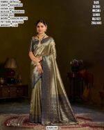 Banarasi Katan Silk Kanchi Pattu Saree