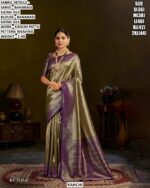 Banarasi Katan Silk Kanchi Pattu Saree