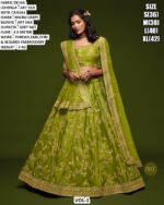 Elegant Sequins Embroidery Lehenga For Women