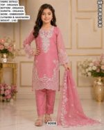 Trendy Girls Occasion Wear Organza Outfit