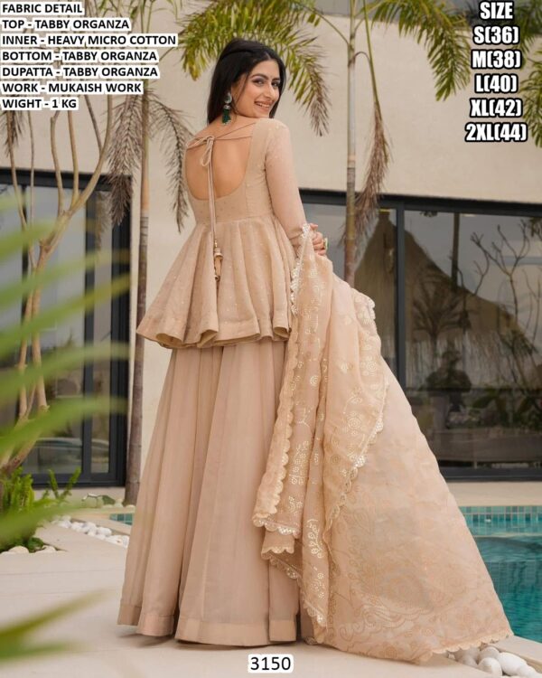 Premium Tabby Organza Suit Set With Mukaish Work