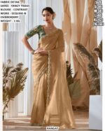 Festive Wear Saree With Embroidery Work