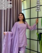 Elegant Occasion Wear Designer Suit Set