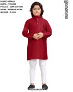 Elegant Traditional Wear Kids Outfit