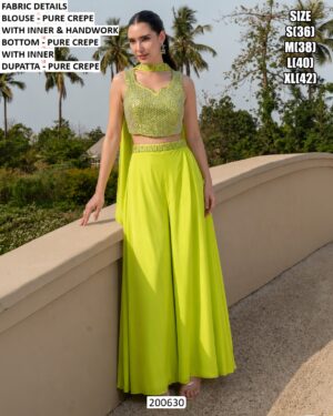 Embroidered Ethnic Outfits For Special Occasions