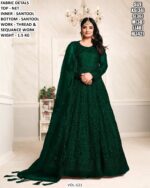 Traditional Gown With Sequence Work