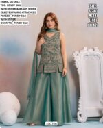 Premium Embroidered Party Wear Ethnic Outfit Collection