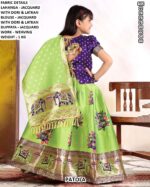Girls Patola Lehenga Choli Set