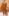 Premium Chanderi Silk Suit Set For Women