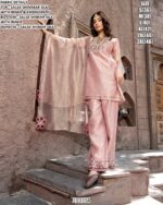 Festive Wear Designer Suit For Ladies