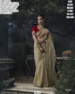 Luxury Designer Saree With Embroidered Border
