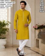 Stylish Mandarin Collar Traditional Kurta Pajama
