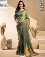 Elegant Embroidery Border Organza Saree